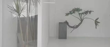 南寧展廳設(shè)計(jì)裝修中如何熟練運(yùn)用材料的秘密!