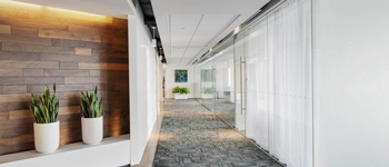 辦公室裝修中軟裝飾的主要功能有哪些