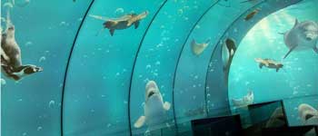 辦公室裝修可以任性到什么程度 你見過海底和空中的辦公室嗎？