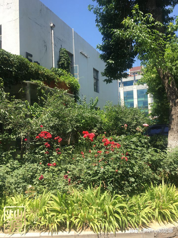 知乎F輪4.5億融資實(shí)錘 【多圖】探究知乎歷輪融資歷史及你不知道的知乎公司辦公室